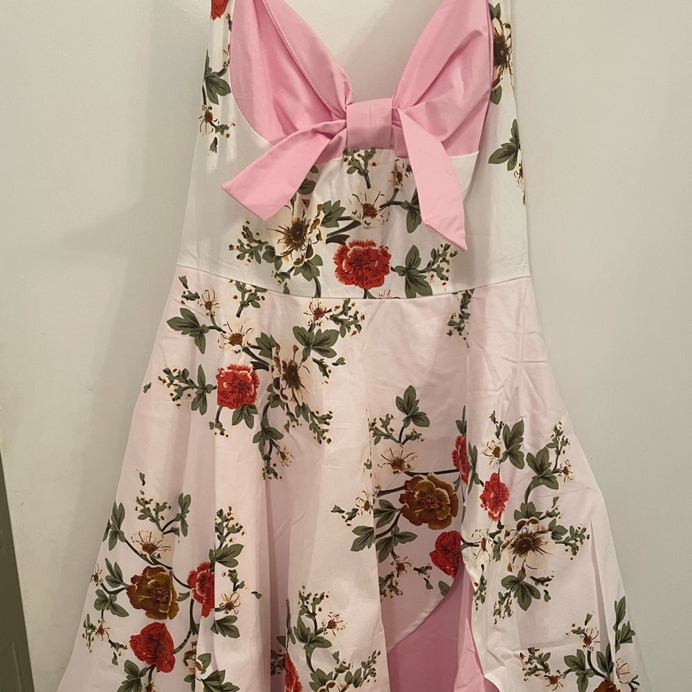 🎃 Halloween Costume 🎃 Ladies 50s style dress